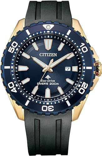 Hodinky Citizen BN0196-01L